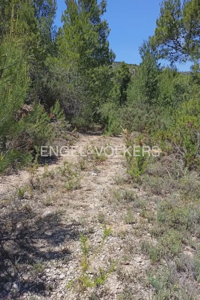 Building Plot for sale in Chelva - € 255,000 (Ref: 9897813)