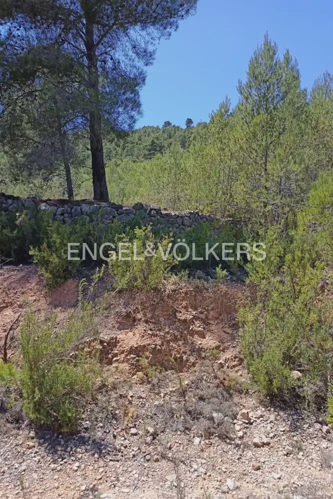 Building Plot for sale in Chelva - € 255,000 (Ref: 9897813)