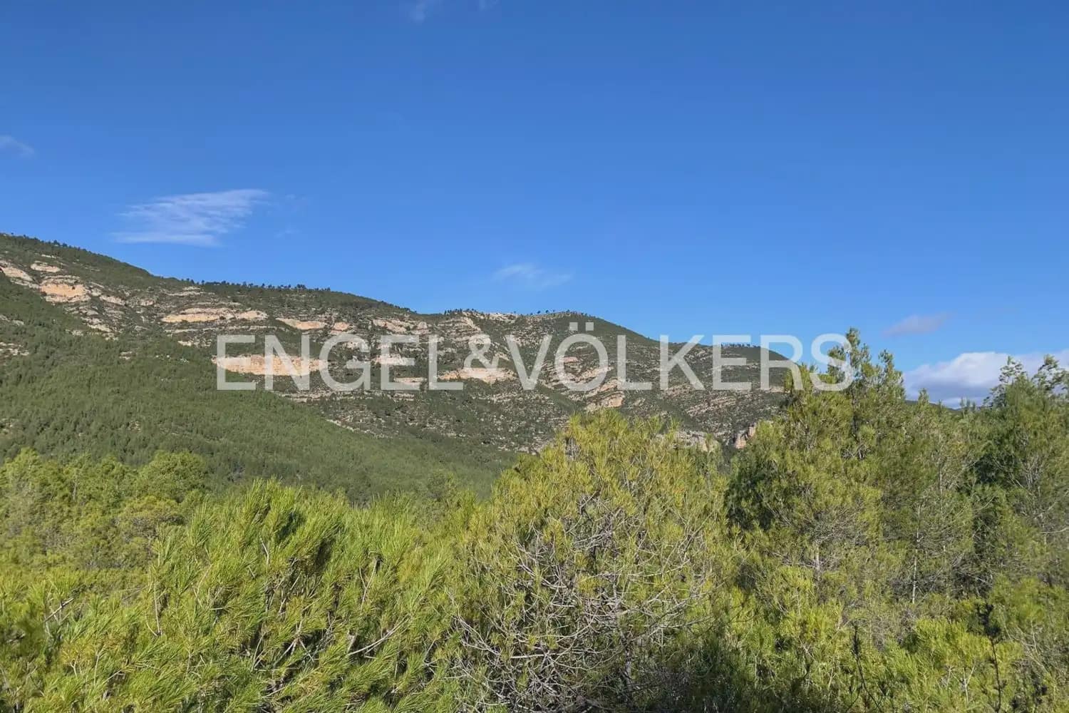 Building Plot for sale in Chelva - € 255,000 (Ref: 9897813)