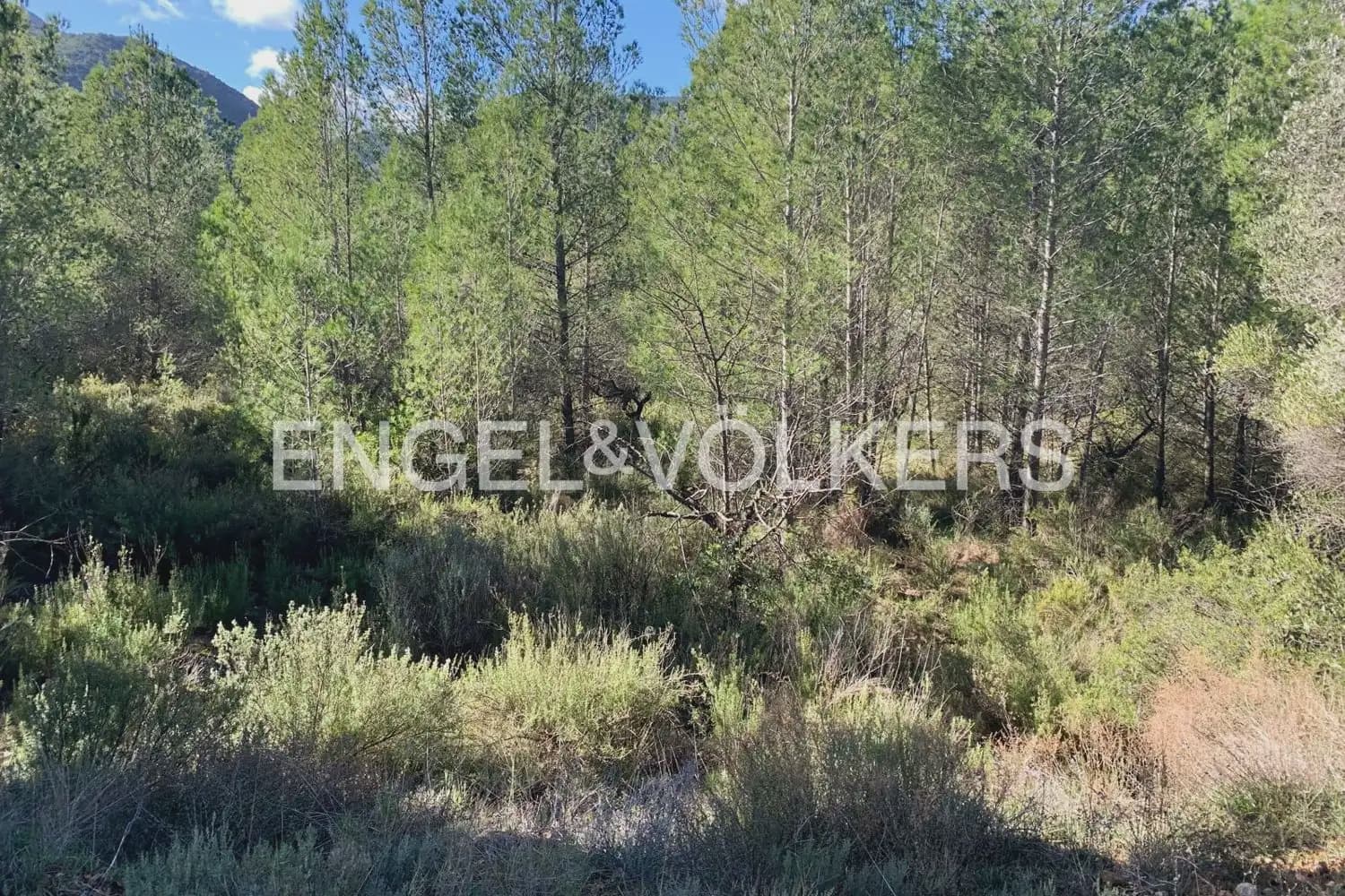 Building Plot for sale in Chelva - € 255,000 (Ref: 9897813)
