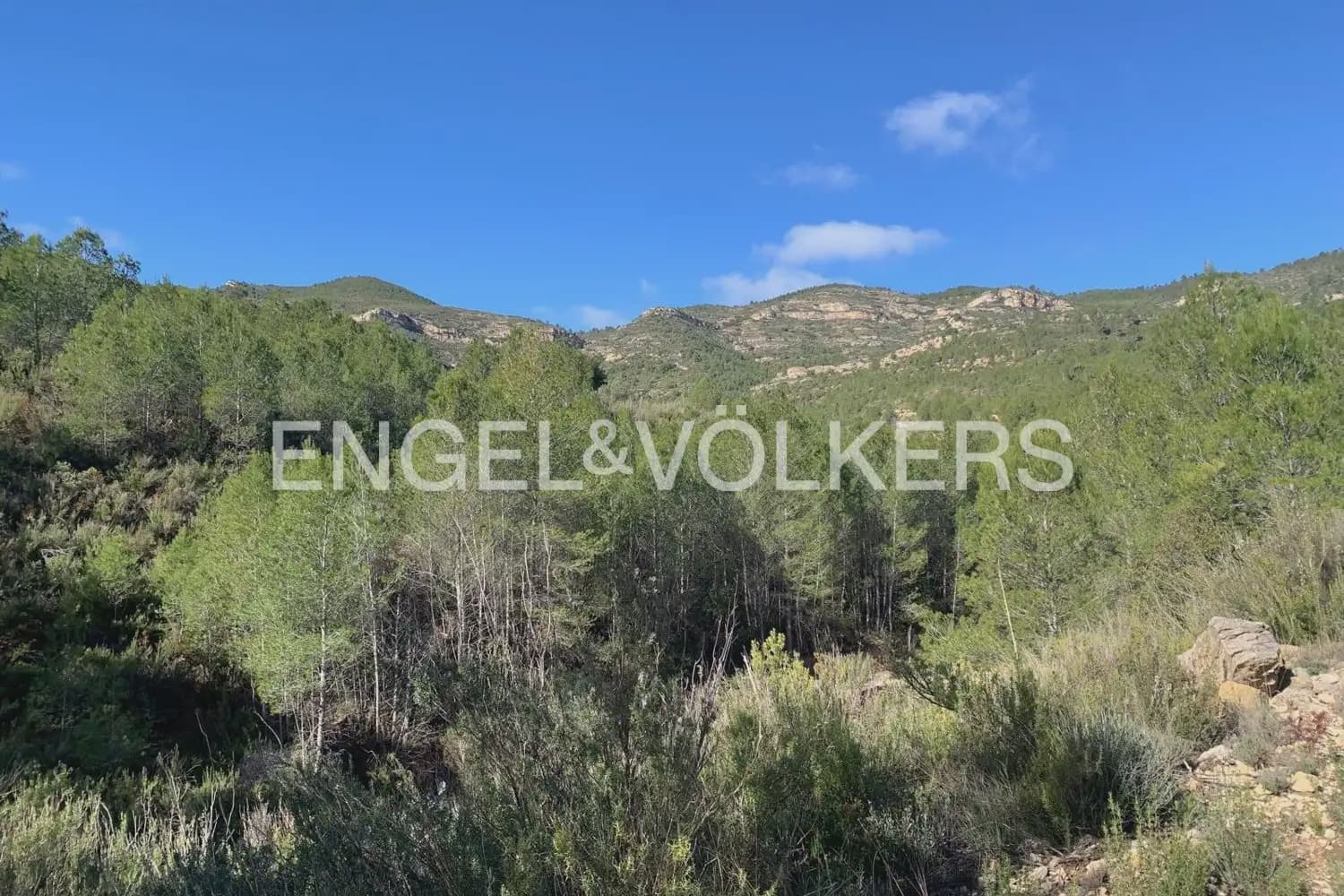 Building Plot for sale in Chelva - € 255,000 (Ref: 9897813)