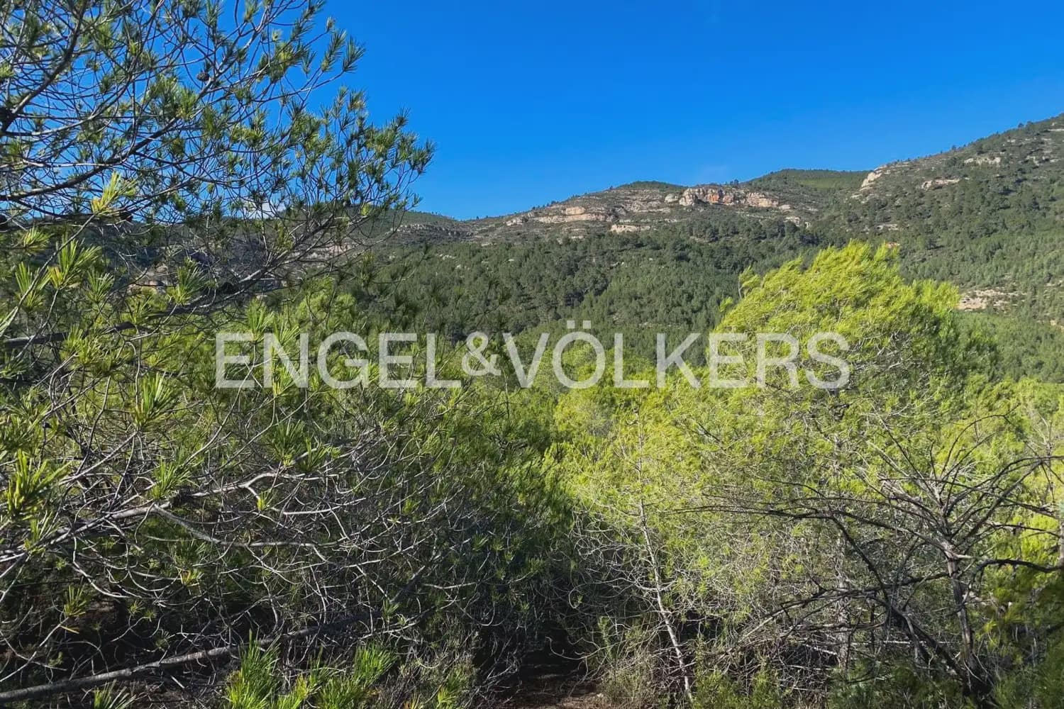 Building Plot for sale in Chelva - € 255,000 (Ref: 9897813)
