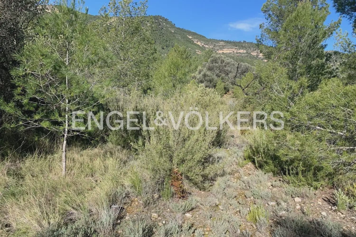 Building Plot for sale in Chelva - € 255,000 (Ref: 9897813)