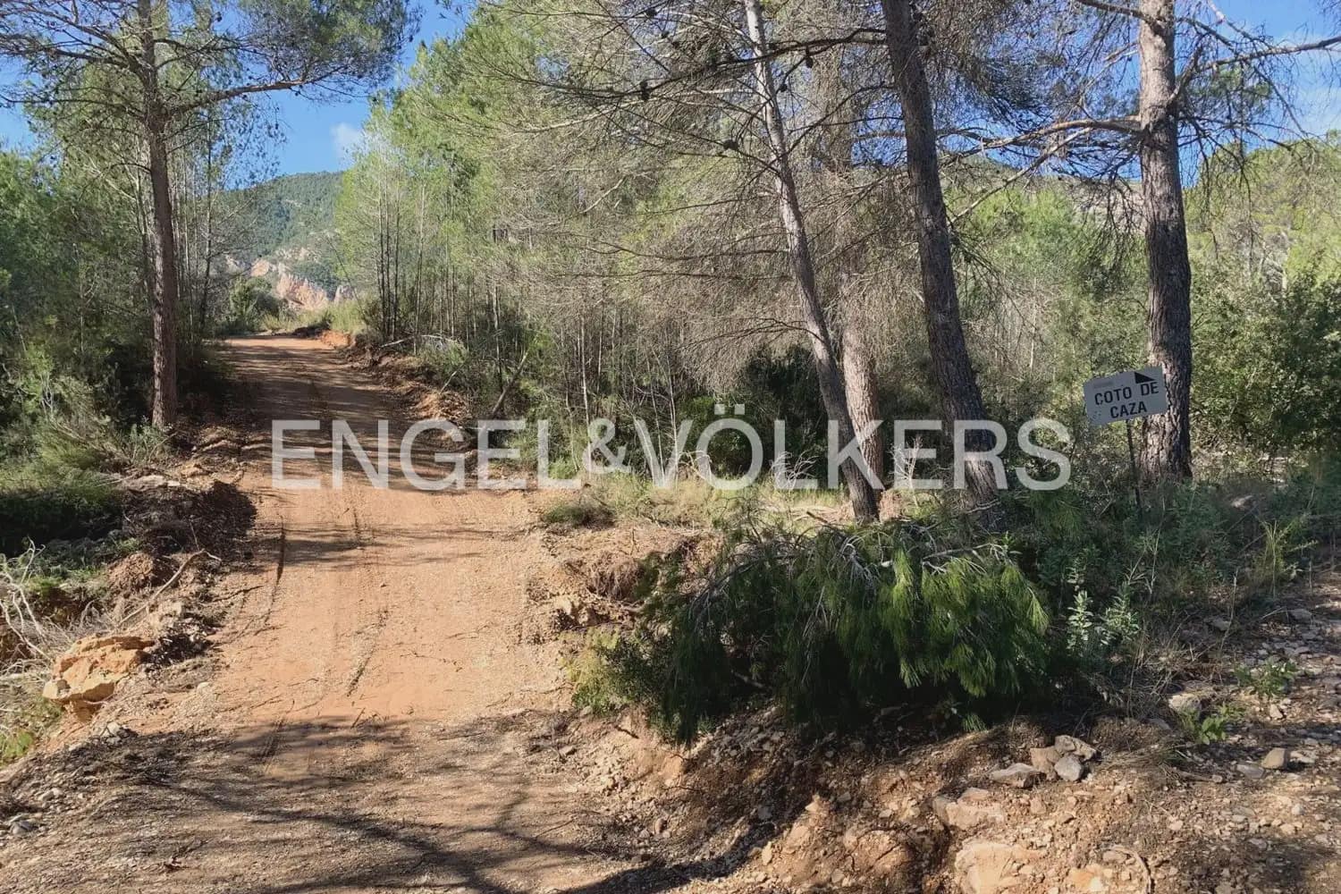 Building Plot for sale in Chelva - € 255,000 (Ref: 9897813)