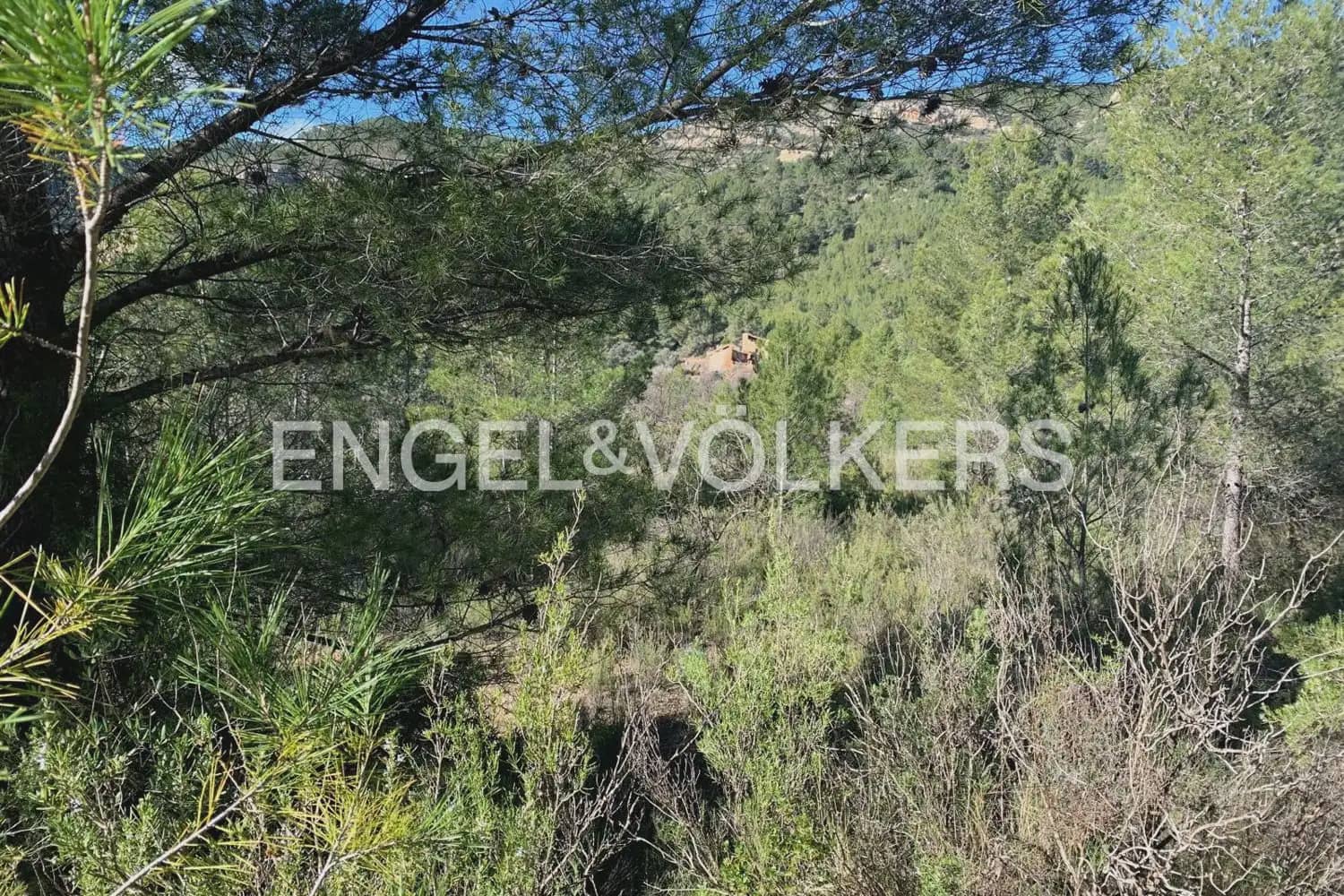Building Plot for sale in Chelva - € 255,000 (Ref: 9897813)