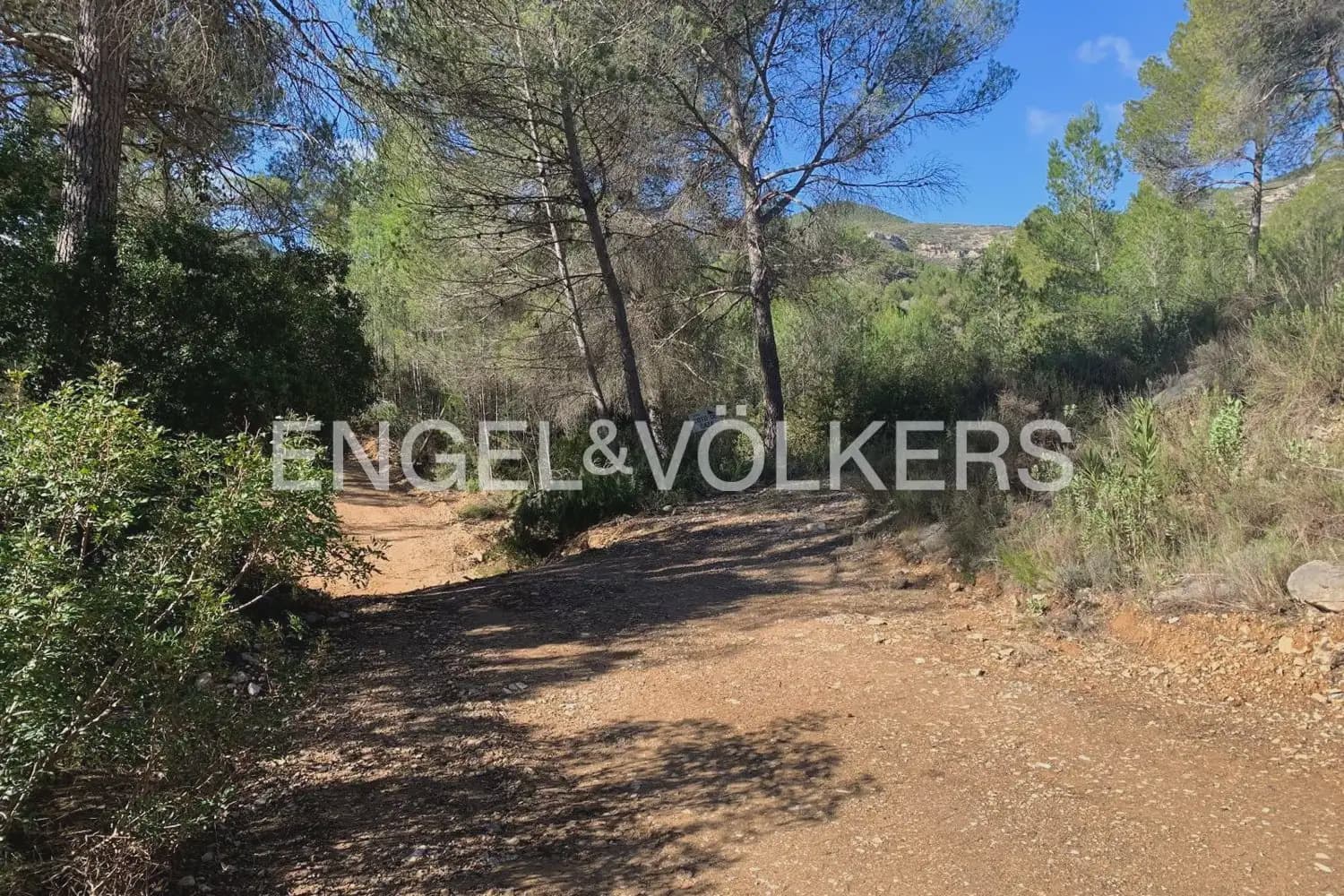 Building Plot for sale in Chelva - € 255,000 (Ref: 9897813)