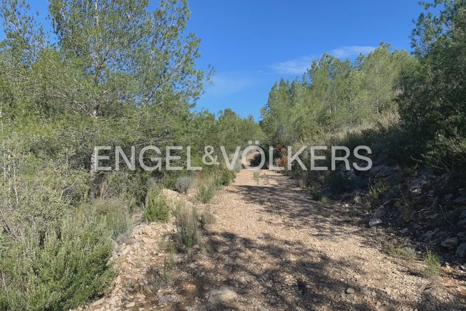 Building Plot for sale in Chelva - € 255,000 (Ref: 9897813)