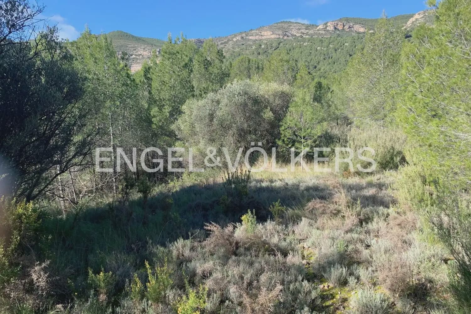Building Plot for sale in Chelva - € 255,000 (Ref: 9897813)