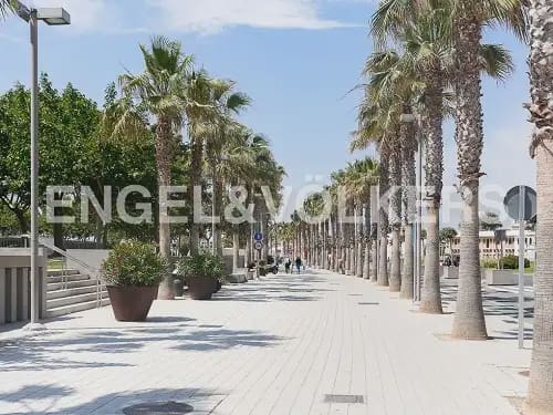 Appartement de 4 chambres à louer à Valence ville - 1 475 € (Ref: 9897836)