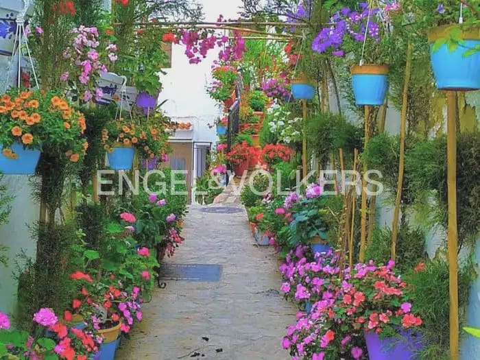 3 bedroom Flat for rent in Sot de Chera with garage - € 2,600 (Ref: 9897882)
