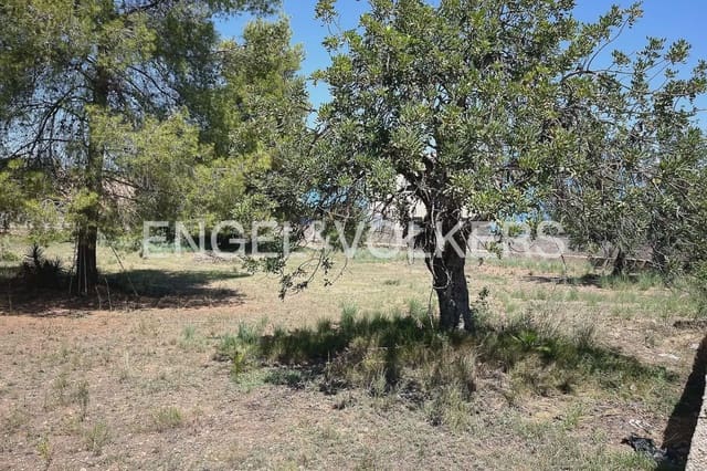 Terreno para Construção para venda em L'Eliana - 380 000 € (Ref: 9897888)