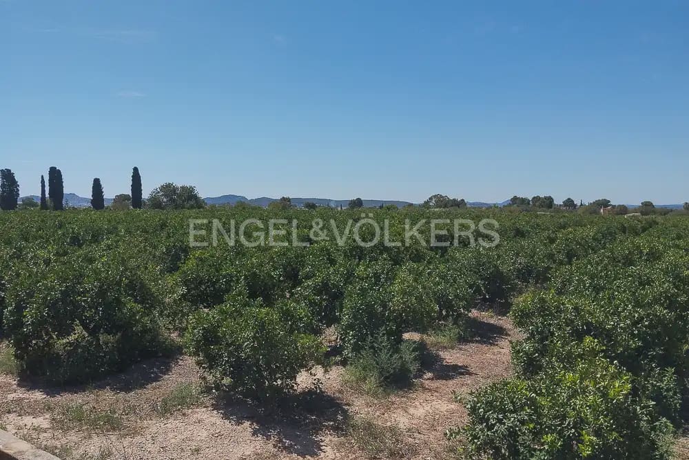 Działka budowlana na sprzedaż w Lliria - 63 000 € (Ref: 9897896)