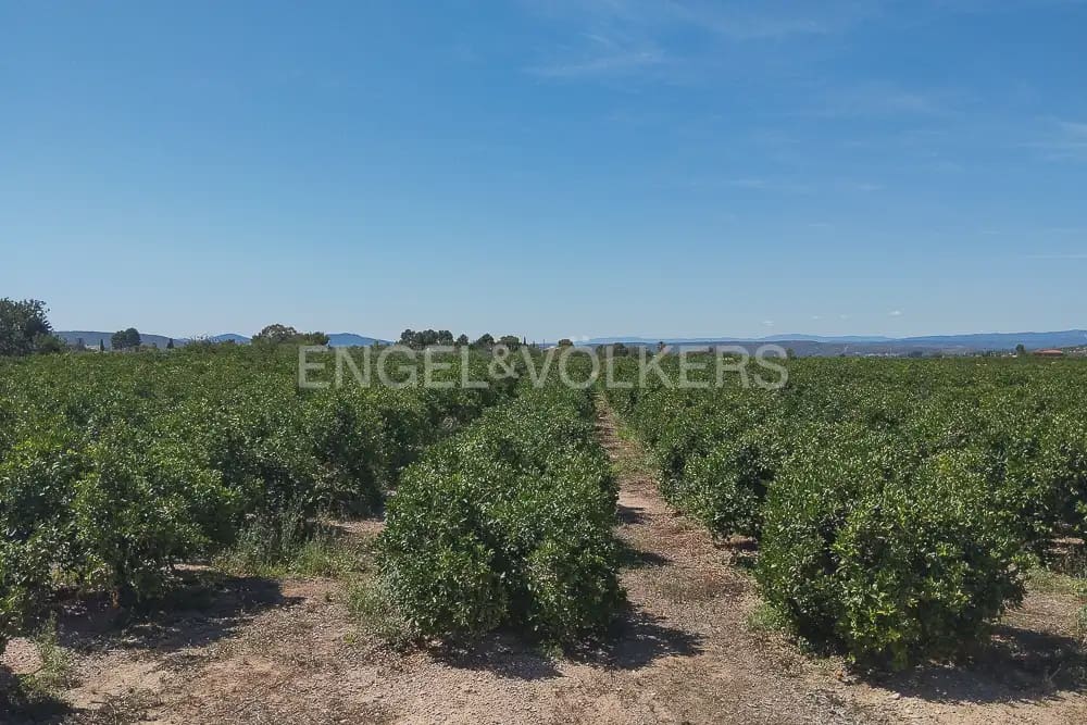 Działka budowlana na sprzedaż w Lliria - 63 000 € (Ref: 9897896)