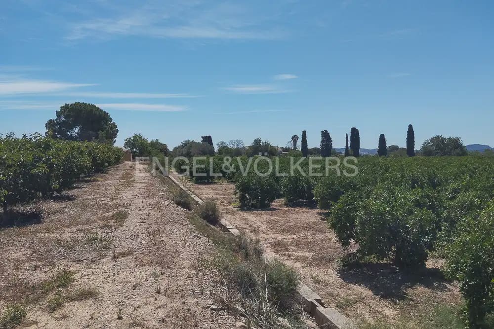 Działka budowlana na sprzedaż w Lliria - 63 000 € (Ref: 9897896)
