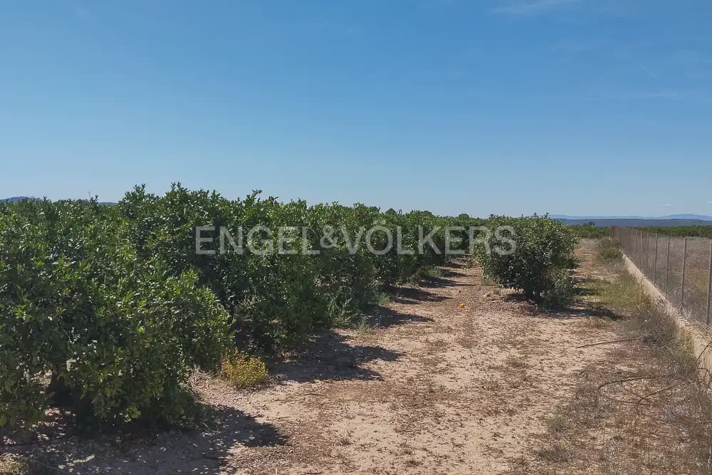 Działka budowlana na sprzedaż w Lliria - 63 000 € (Ref: 9897896)