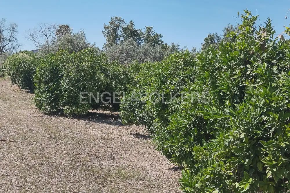Działka budowlana na sprzedaż w Lliria - 63 000 € (Ref: 9897896)