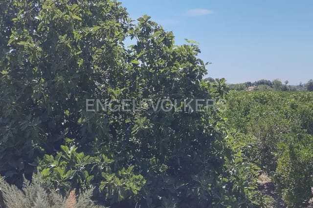 Działka budowlana na sprzedaż w Llíria - 63 000 € (Ref: 9897896)