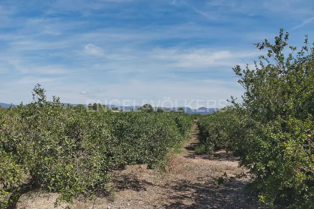 Działka budowlana na sprzedaż w Lliria - 63 000 € (Ref: 9897896)