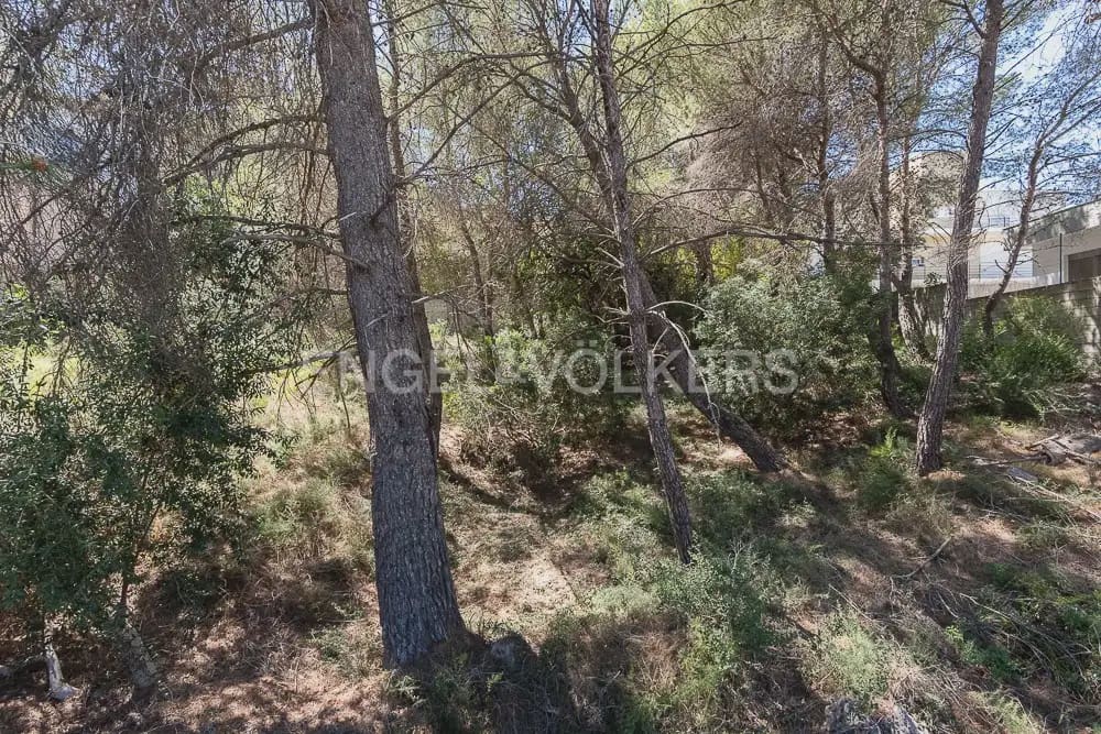 Terreno para Construção para venda em Carcaixent - 125 000 € (Ref: 9897897)