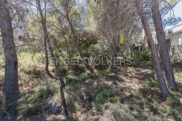 Terreno para Construção para venda em Carcaixent - 125 000 € (Ref: 9897897)