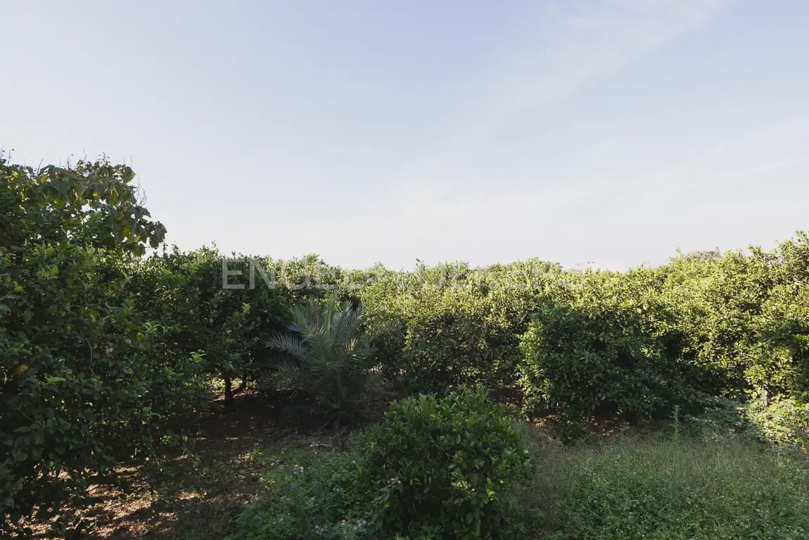5 bedroom Finca/Country House for sale in Carcaixent with pool garage - € 545,000 (Ref: 9898000)