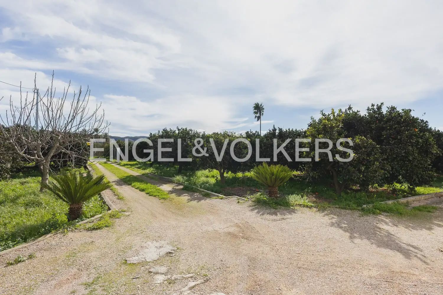 4 bedroom Finca/Country House for sale in Carcaixent with pool garage - € 580,000 (Ref: 9898015)