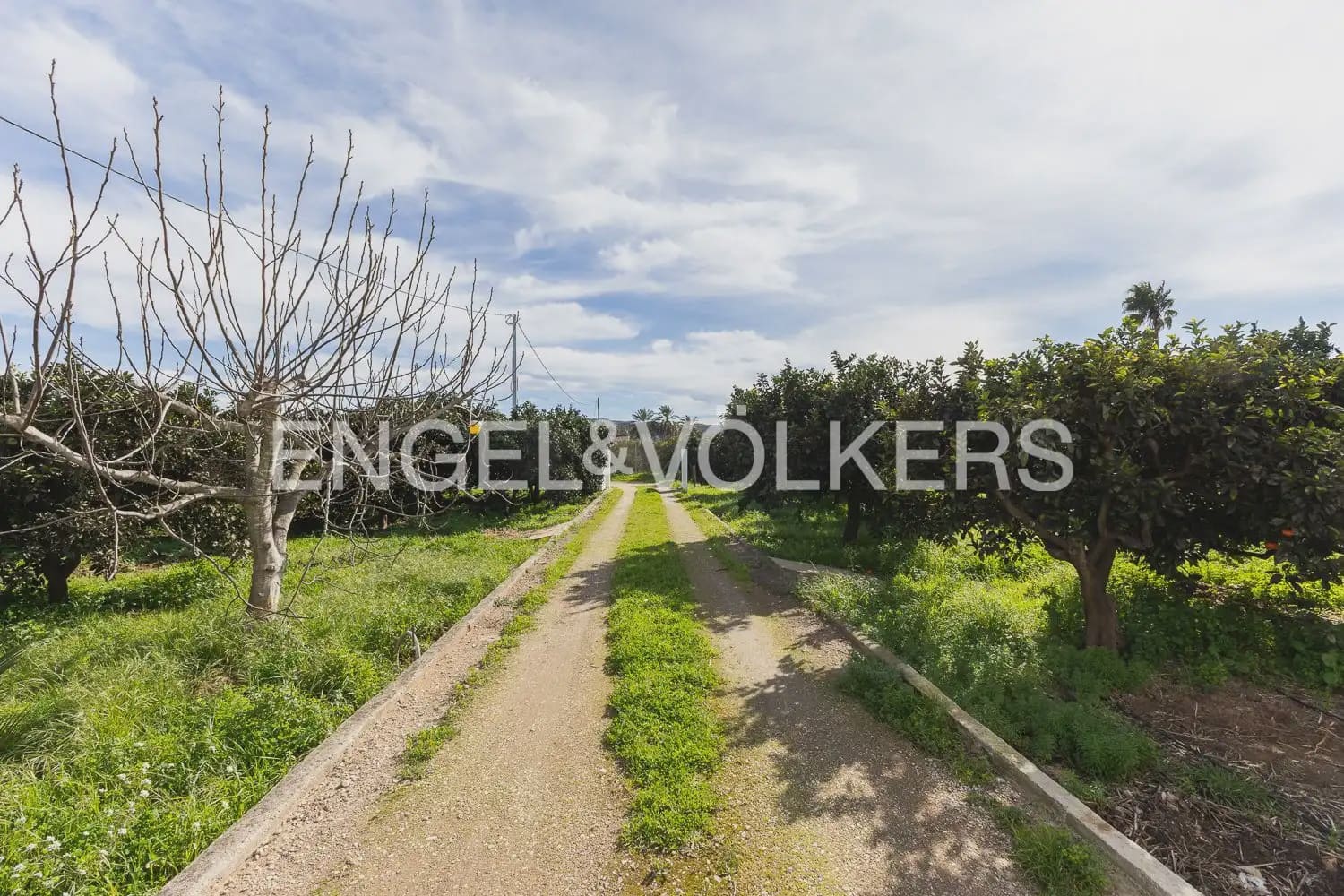 4 bedroom Finca/Country House for sale in Carcaixent with pool garage - € 580,000 (Ref: 9898015)
