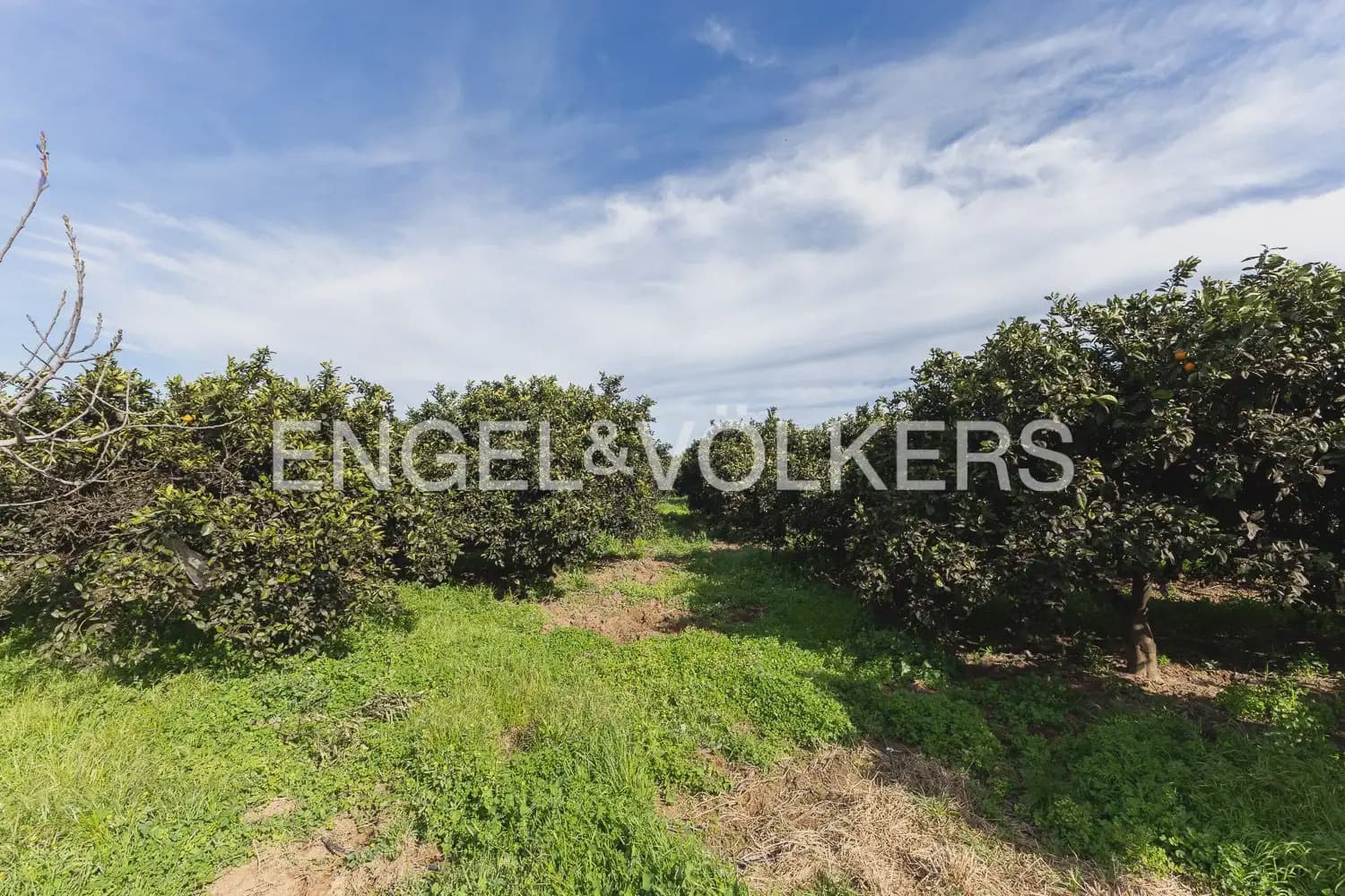 4 bedroom Finca/Country House for sale in Carcaixent with pool garage - € 580,000 (Ref: 9898015)