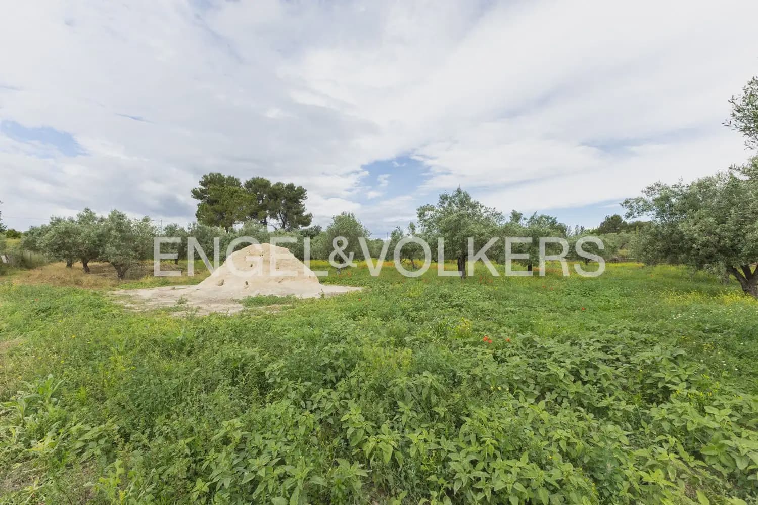 Finca/Casa Rural de 7 habitaciones en Enguera en venta con piscina garaje - 950.000 € (Ref: 9898043)