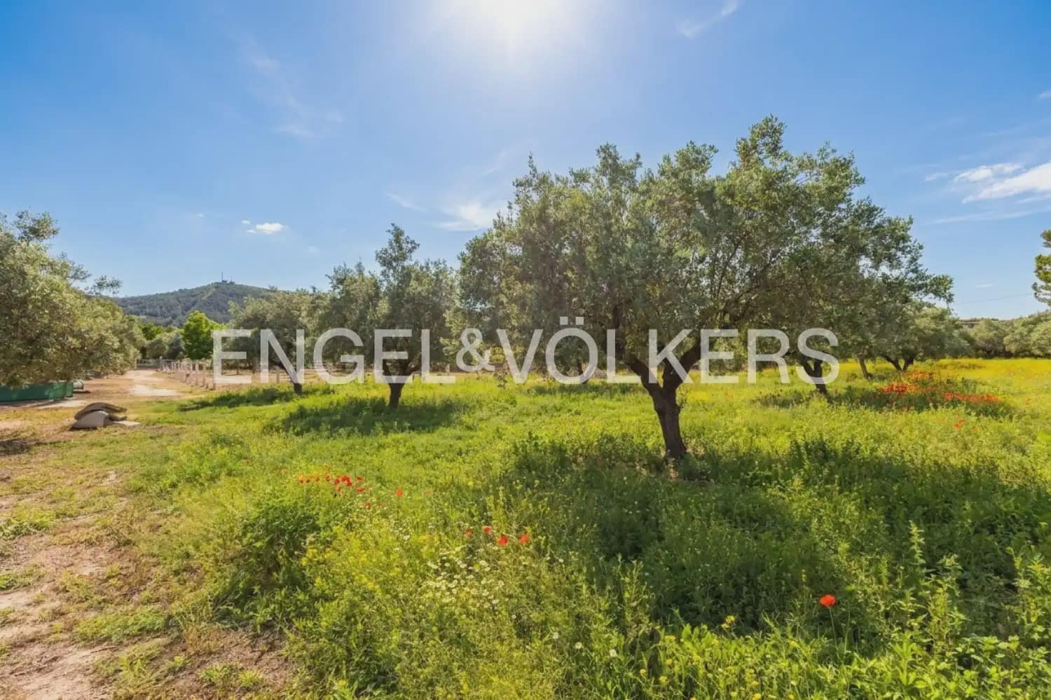 Finca/Casa Rural de 7 habitaciones en Enguera en venta con piscina garaje - 950.000 € (Ref: 9898043)