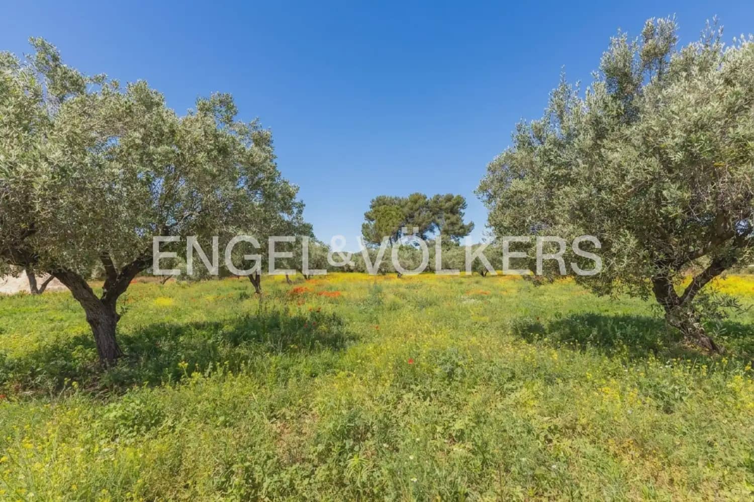 Finca/Casa Rural de 7 habitaciones en Enguera en venta con piscina garaje - 950.000 € (Ref: 9898043)