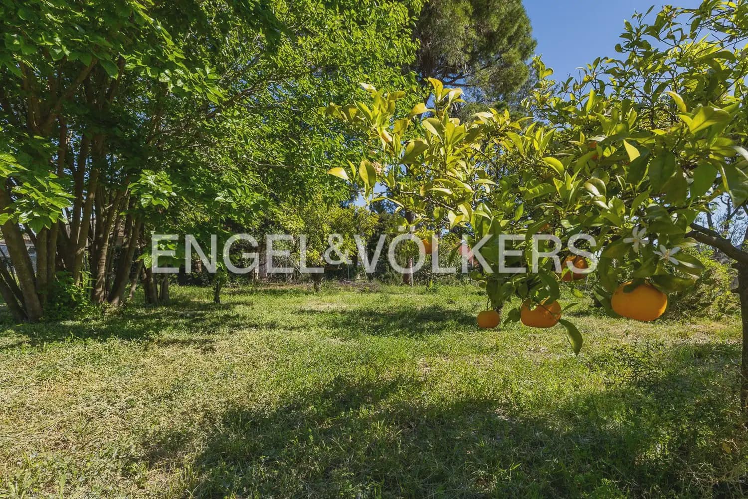 5 bedroom Villa for rent in Pedreguer with pool garage - € 4,600 (Ref: 9898203)