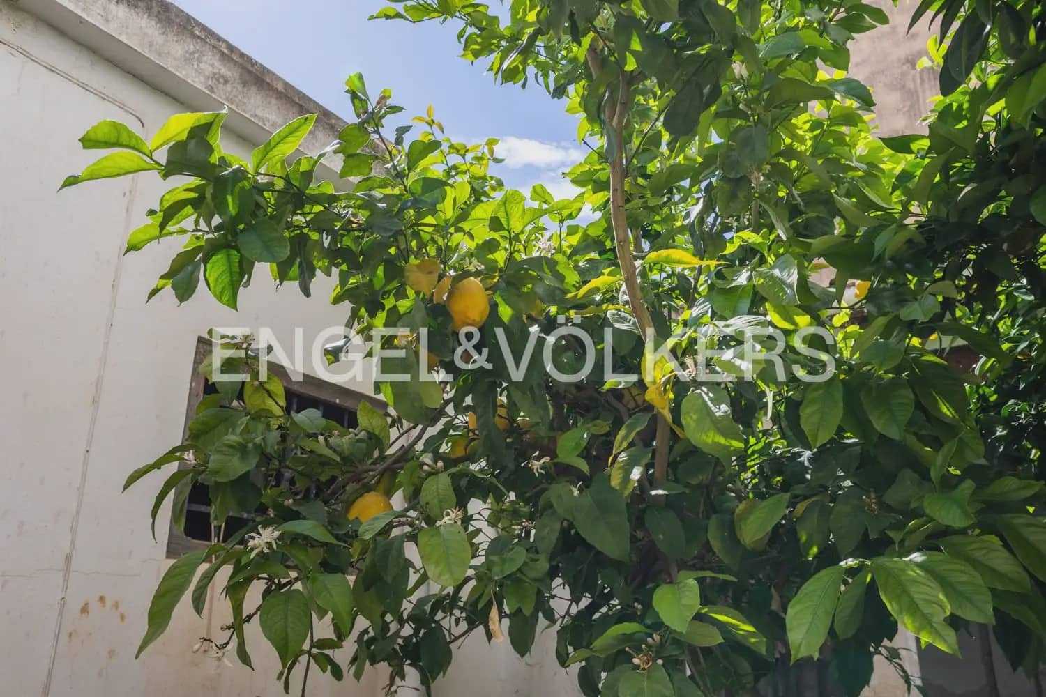 3 quarto Casa em Banda para venda em Alfafar - 250 000 € (Ref: 9898250)
