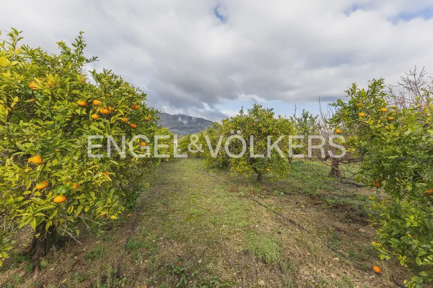 6 quarto Quinta/Casa Rural para venda em Orba com piscina garagem - 690 000 € (Ref: 9898281)