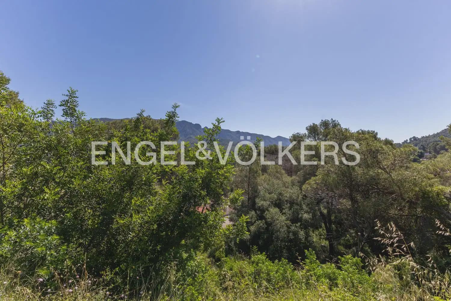 Terreno para Construção para venda em Carcaixent - 75 000 € (Ref: 9906658)