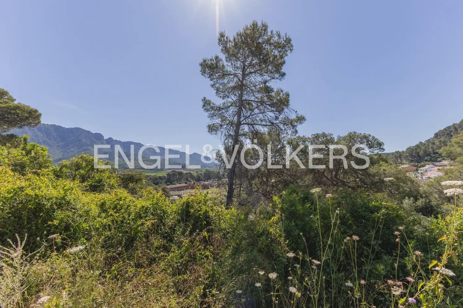 Terreno para Construção para venda em Carcaixent - 75 000 € (Ref: 9906658)