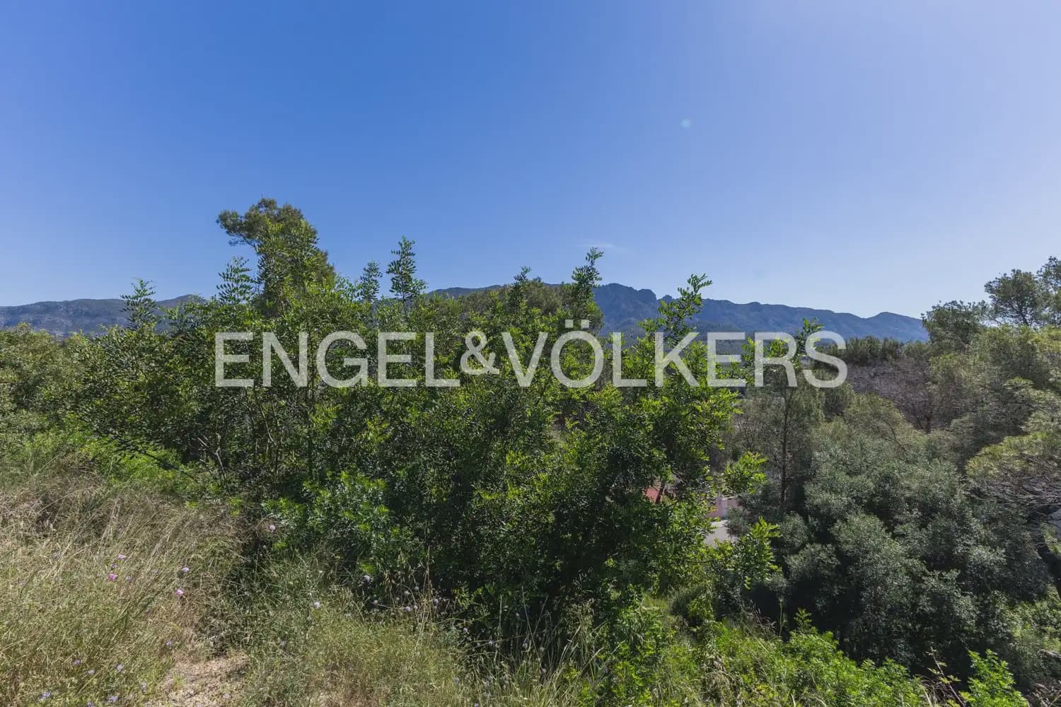 Terreno para Construção para venda em Carcaixent - 75 000 € (Ref: 9906658)