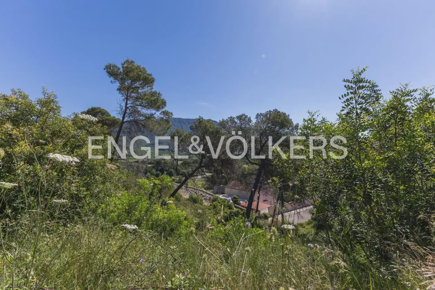 Terreno para Construção para venda em Carcaixent - 75 000 € (Ref: 9906658)