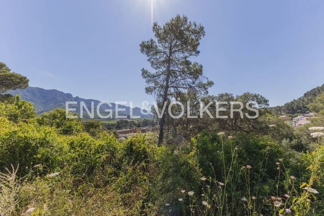 Terreno para Construção para venda em Carcaixent - 75 000 € (Ref: 9906658)