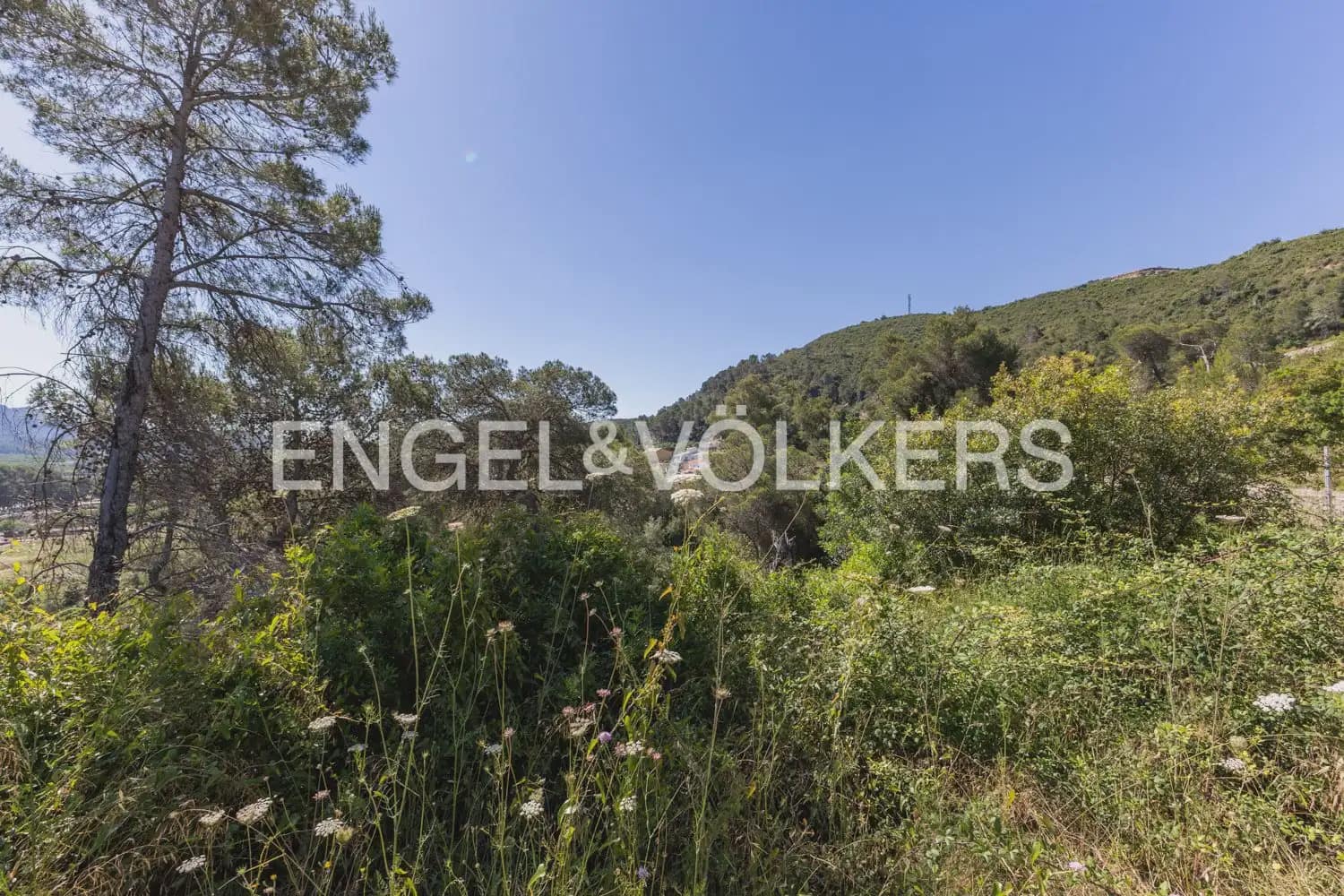 Terreno para Construção para venda em Carcaixent - 75 000 € (Ref: 9906658)