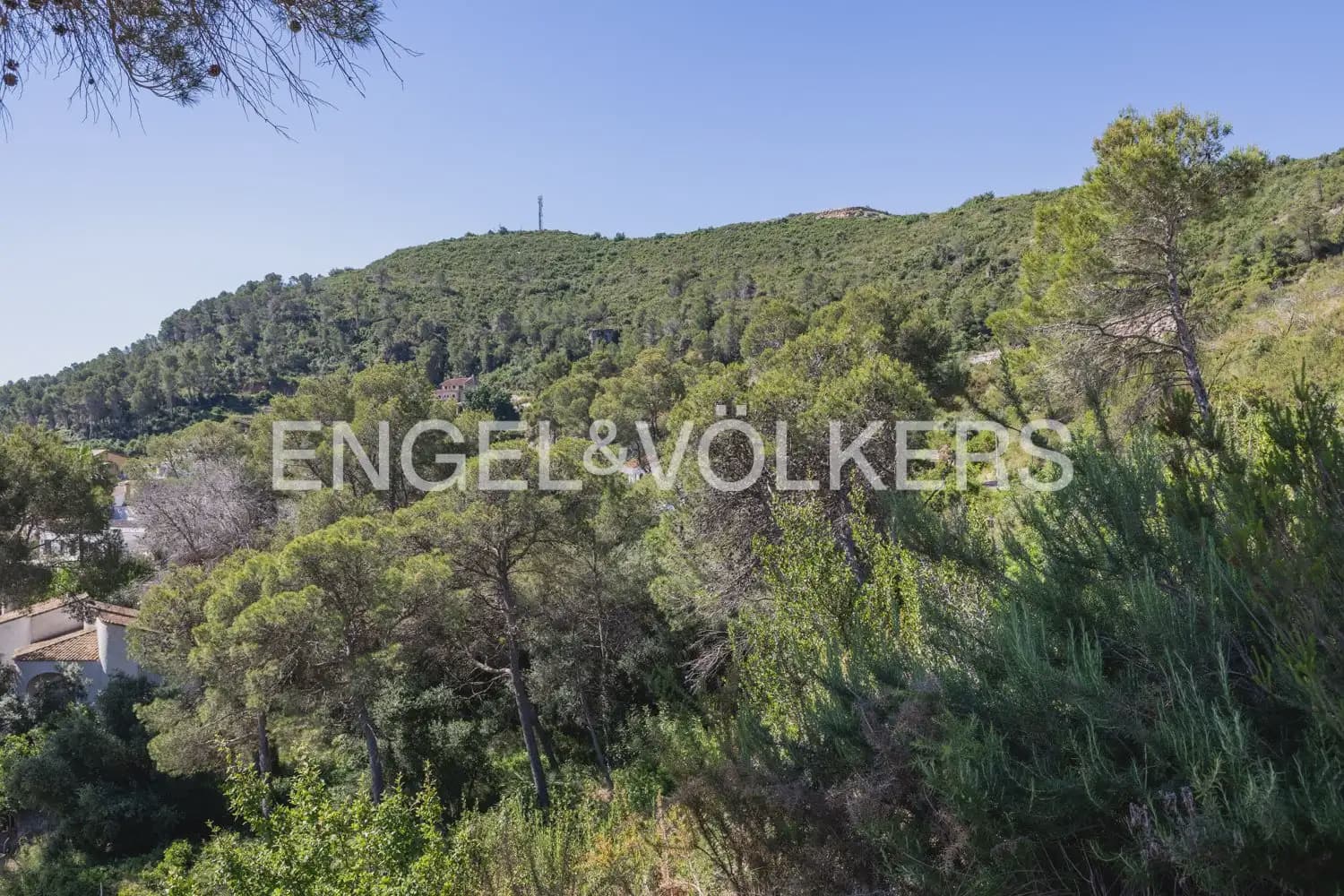 Terreno para Construção para venda em Carcaixent - 75 000 € (Ref: 9906658)