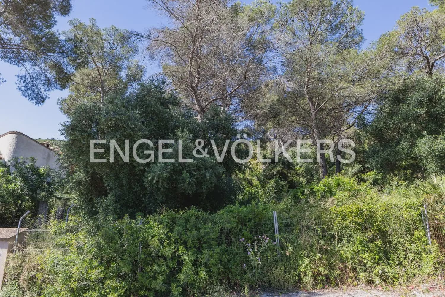Terreno para Construção para venda em Carcaixent - 75 000 € (Ref: 9906658)