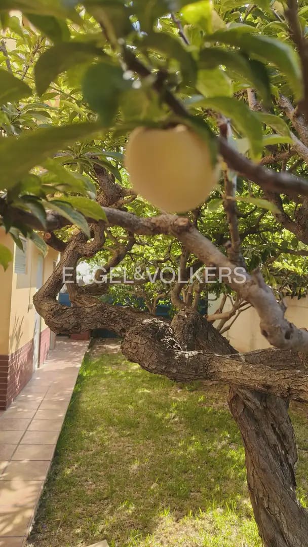 5 bedroom Villa for sale in Burriana / Borriana with garage - € 410,000 (Ref: 9928450)