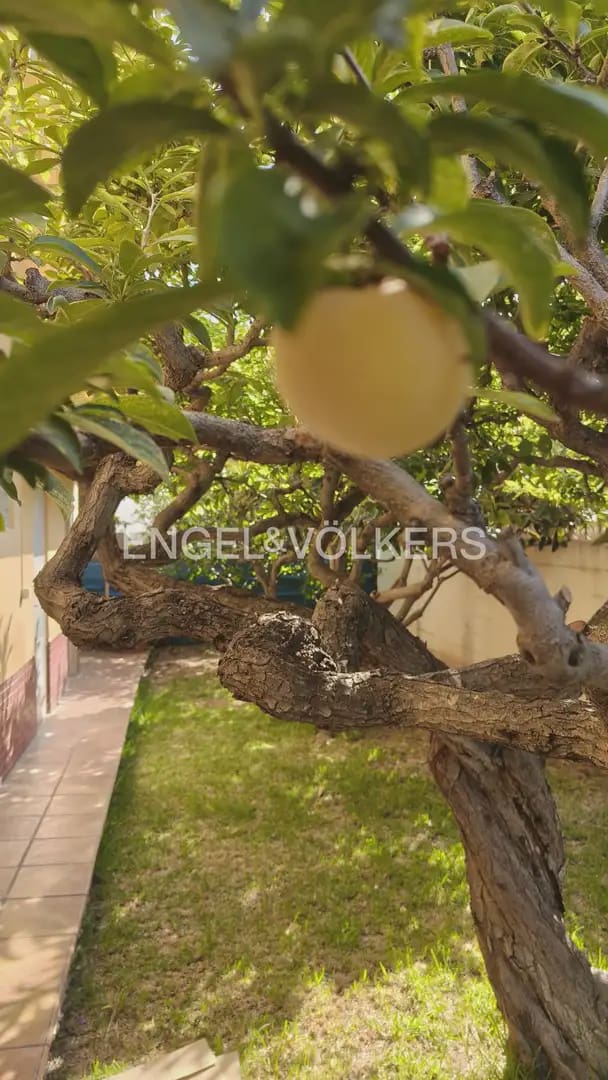 5 bedroom Villa for sale in Burriana / Borriana with garage - € 410,000 (Ref: 9928450)