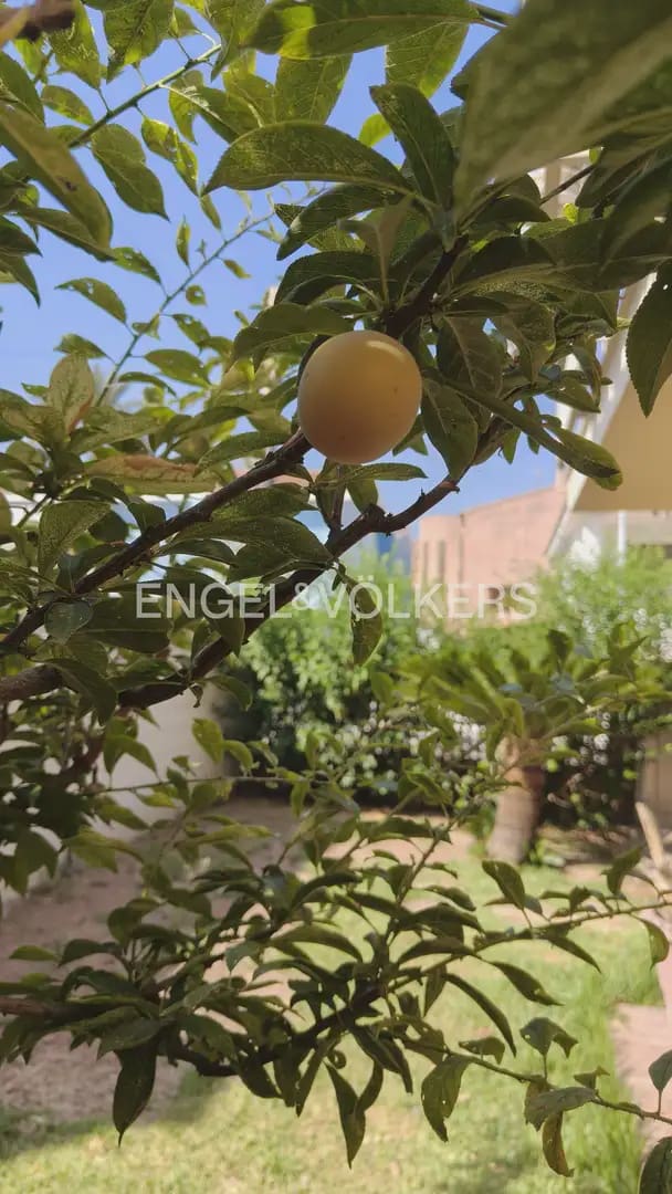 5 bedroom Villa for sale in Burriana / Borriana with garage - € 410,000 (Ref: 9928450)
