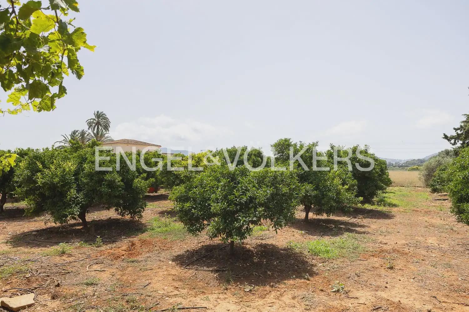 6 soveværelse Finca/Landehus til salg i Denia - € 680.000 (Ref: 9936745)