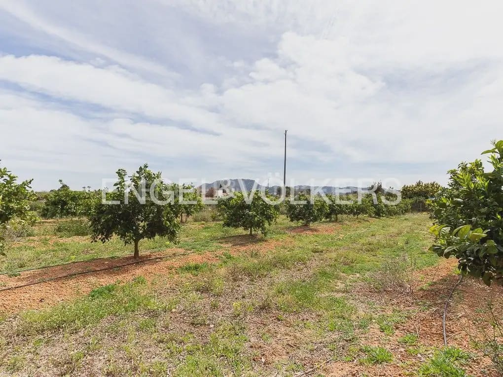 3 bedroom Finca/Country House for sale in Alzira with pool garage - € 200,000 (Ref: 9958337)