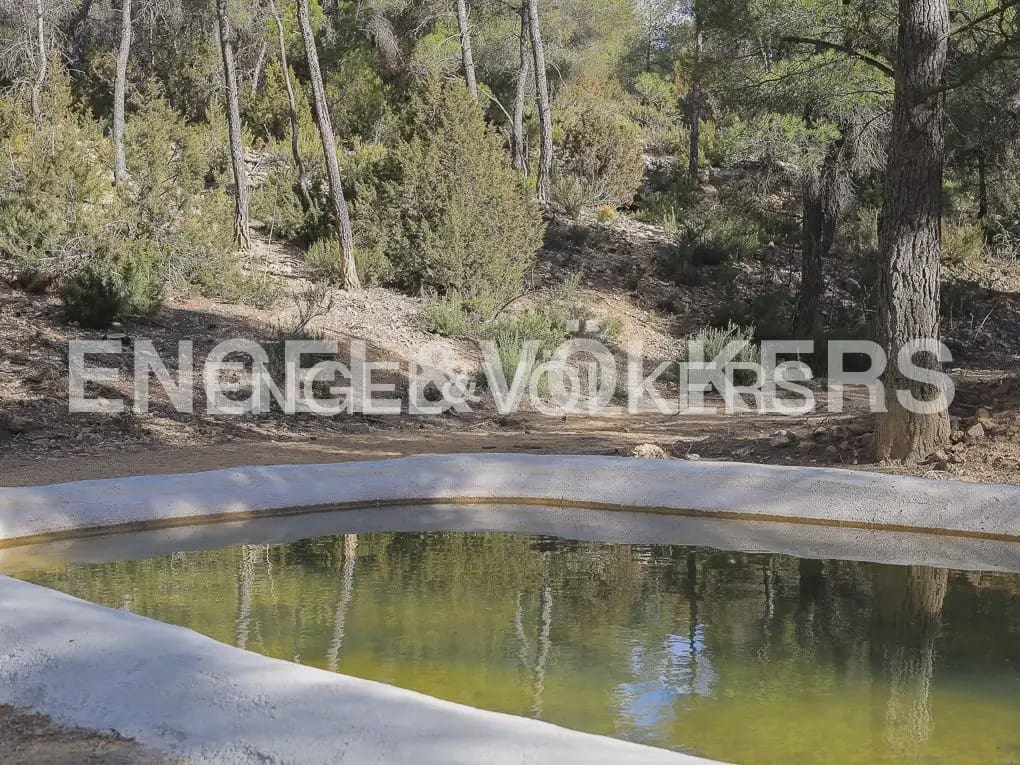 Finca/Casa Rural de 4 habitaciones en Ayora en venta con piscina - 4.800.000 € (Ref: 9965594)