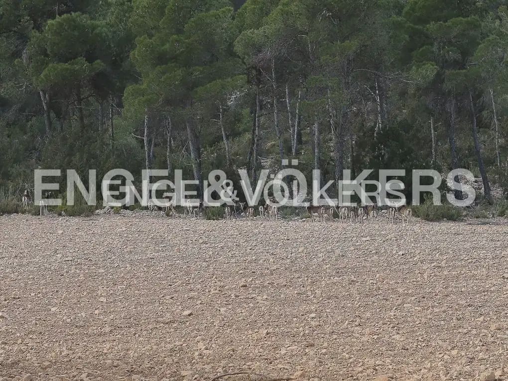 Finca/Casa Rural de 4 habitaciones en Ayora en venta con piscina - 4.800.000 € (Ref: 9965594)