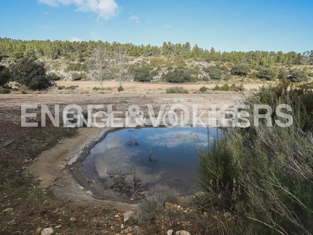 Finca/Casa Rural de 4 habitaciones en Ayora en venta con piscina - 4.800.000 € (Ref: 9965594)